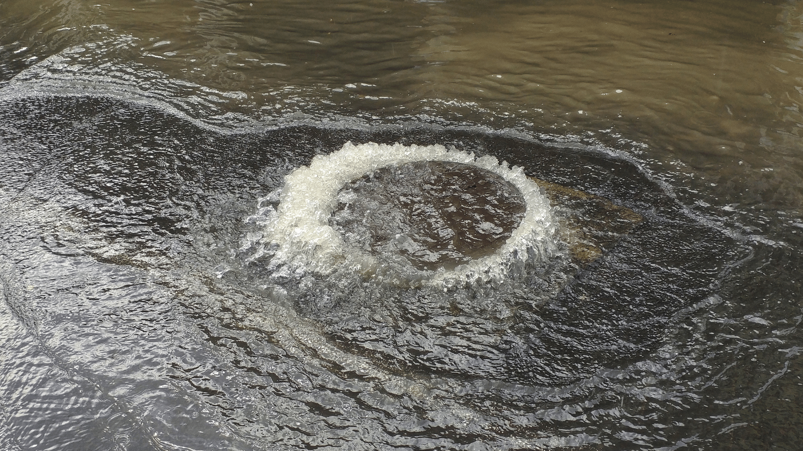 Image of a sewer overflow