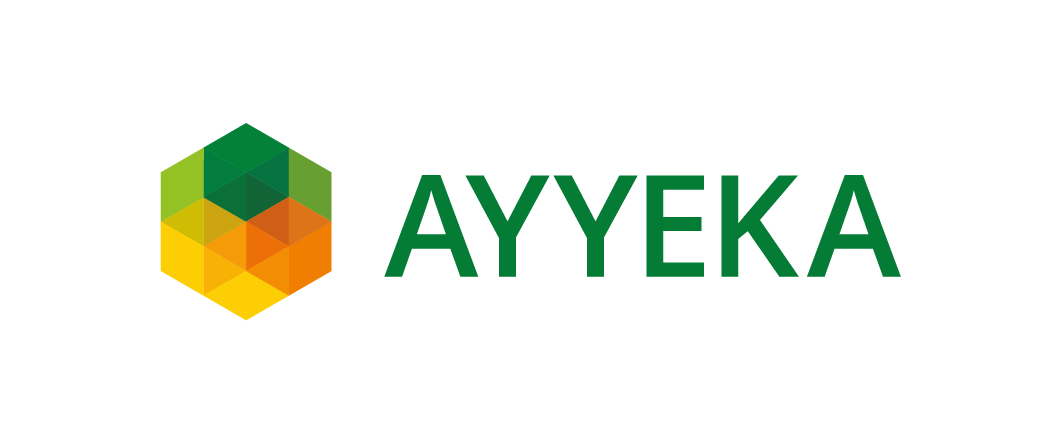 Ayyeka logo